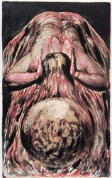 Il Libro di Urizen; il racconto di Blake della Creazione di Eva nella Creazione di Enitharmon, 